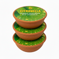 Set 3 Candele Profumate alla Citronella in Vaso di Terracotta 65 g